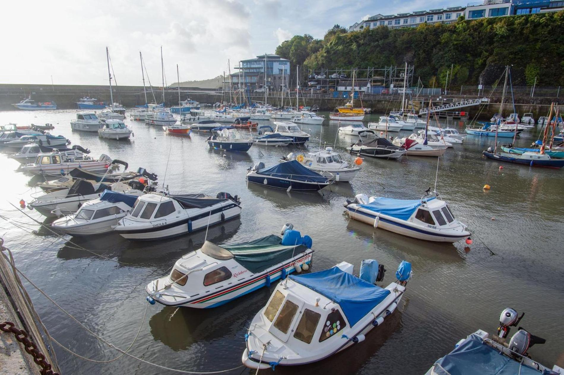 Ocean Cabins No 3 At The Square - Saundersfoot Pokoj fotografie