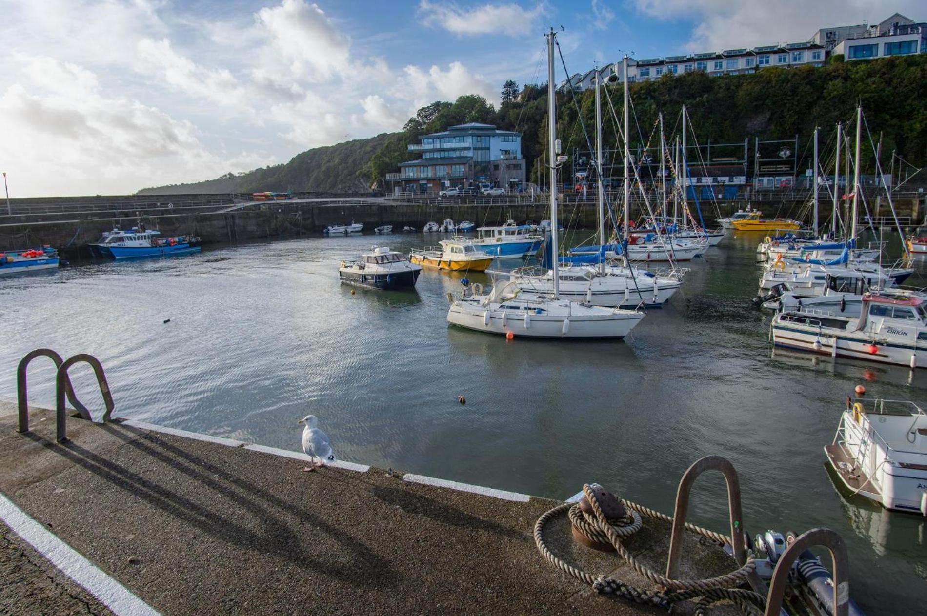 Ocean Cabins No 3 At The Square - Saundersfoot Pokoj fotografie